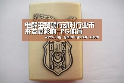 电解铝整顿行动对行业未来发展影响-PG体育(图2) PG体育