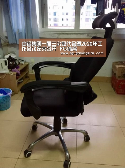 中铝集团一届三次职代会暨2020年工作会议在京召开-PG体育(图3) PG足球