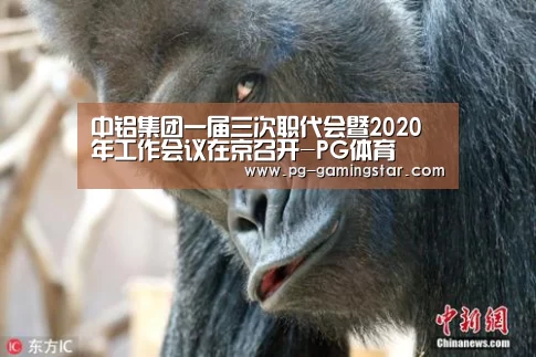 中铝集团一届三次职代会暨2020年工作会议在京召开-PG体育(图2) PG竞猜
